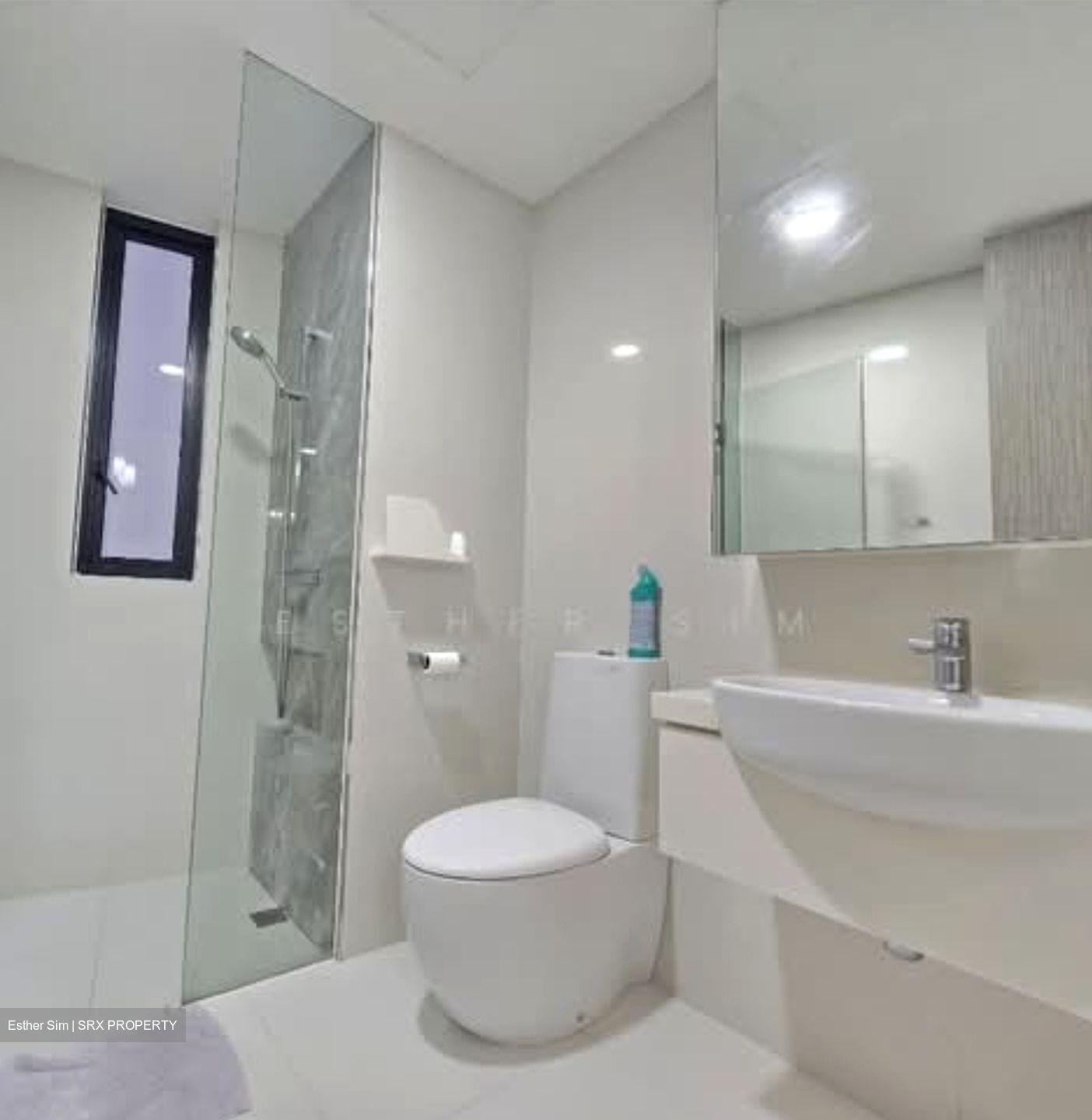 D'Leedon (D10), Condominium #530888321